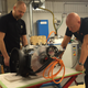 Image for article titled How The 1,500 HP Koenigsegg Regera Hits 248 MPH Without A Gearbox